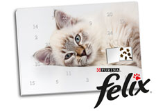 Adventskalender für Tiere